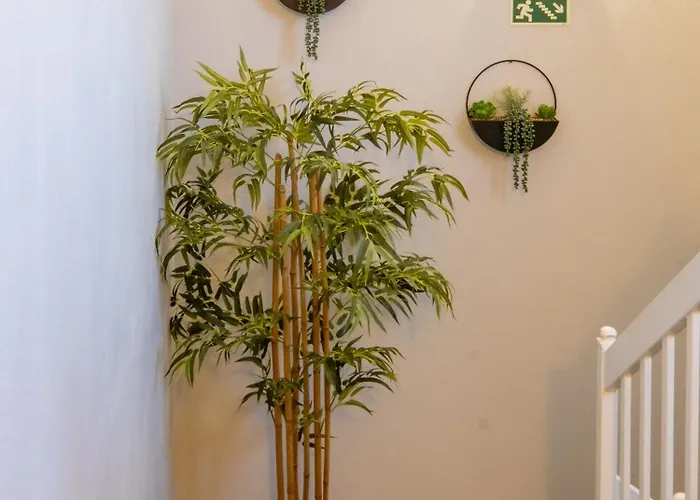 Al Restaurante A Lampreia * 圣孔巴当